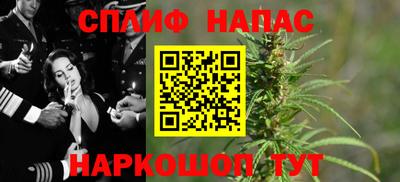 ECSTASY Новозыбков