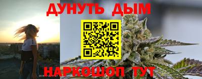 ECSTASY Новозыбков
